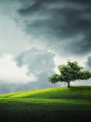 헤브즈: 꿈 꾸는 사람