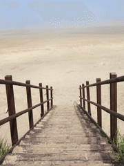 포켓몬 짧썰 모음