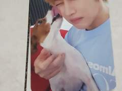 슈퍼주니어 더 로드 앨범 후기