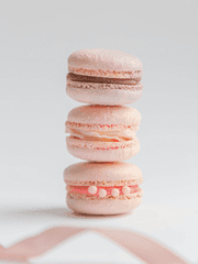 포켓몬 전력 60분