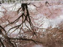 "나의 봄. 여쭤볼 것이 있습니다."