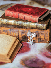 신수국 전생록(神隨國 傳生錄)