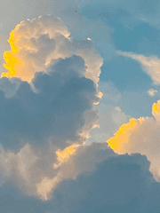 [수이웃 X 미수반 ] 다시 잃고싶지는 않거든.