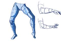 2023년 6월 24일 (토) <해부학>