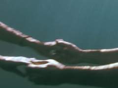 의미부여 오타쿠집단모임의 바로 그 오타쿠