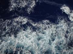 바다를 꿈꾸었어