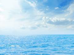 🐋청靑을 바라던 하늘은,