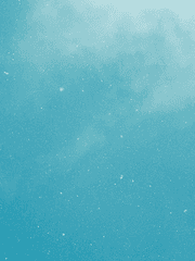 원피스 트립일지