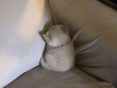 여주의 가족을 소개합니다!