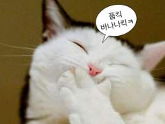 지여주 남친은 카멜레온??