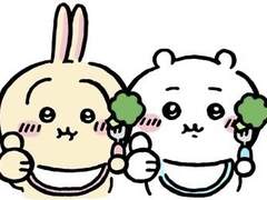 인터파크 광클 티켓팅 폼림 우회 방법 새고 없이 대기열 진입 세븐틴