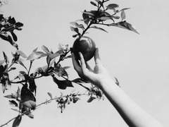 깨어지고 흘러넘쳐도