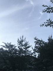 한여름밤의 첫사랑