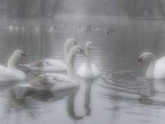 청춘 말소 작전