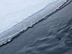 카스티안느 가문 설정 정리