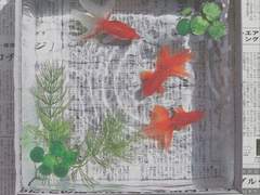 트위터 조각 모음 03