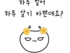 하루 벌어 하루 살기 바쁜데요?