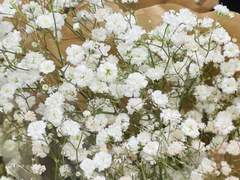 ✔️ 공지사항 ✔️