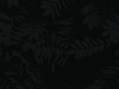 트위스테 애들 앞에서 감독생이 SCP에 끌려간 이야기 -7-