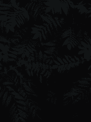 트위스테 애들 앞에서 감독생이 SCP에 끌려간 이야기