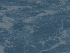 나는 여름 내내 죽어가고 있어.