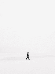 망한 순애의 말로