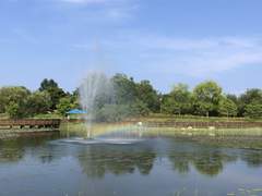 17살, 잊지 못할 감정