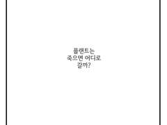 나이렘(ncp)만화