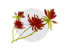 [상이이상] 마주하는