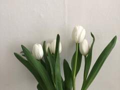 알빠냐 내 1초가 더 중요해