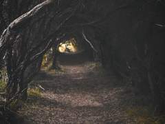 연합 국가 외무성 이상현상 대책반