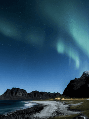 Genogram : 불온의 계보