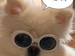 아마도 회사생활