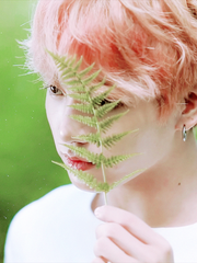 재업)오 나의 작은섬