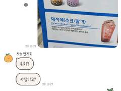 도리벤카피페모음(6)