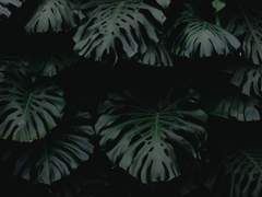 [리들해리] 티타임