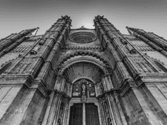 [리들해리] 썰 백업