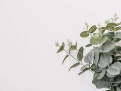 [시리해리] 썰 백업