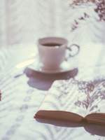 크롬 렉 셀로우