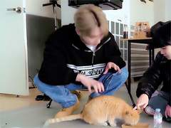 [댕밤전]고양이 上