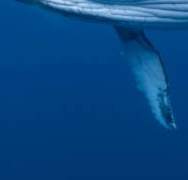 어제 꿈에 네가 나왔는데, 그래서 너무 보고 싶었어.