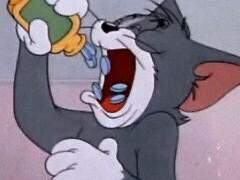 (딥)푸룬, 마그밀, 둘코 후기&팁