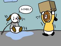 장마철에 밖에 사는 강아지들