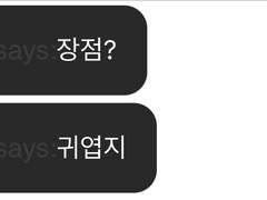 대만이와 도연이