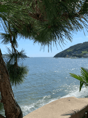 18회차 독서 모임