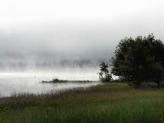 어제의 우리, 내일 있을 우리도 오늘 우리의 의지가 새롭게 결정한다