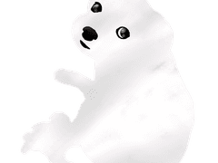 우리 집 강아지 몰티즈 그리기