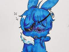 원신 동물즈 모음