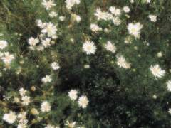 영원이라는 건 없지만