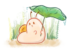 🐌 달팽이 월드에 오신 걸 환영합니다